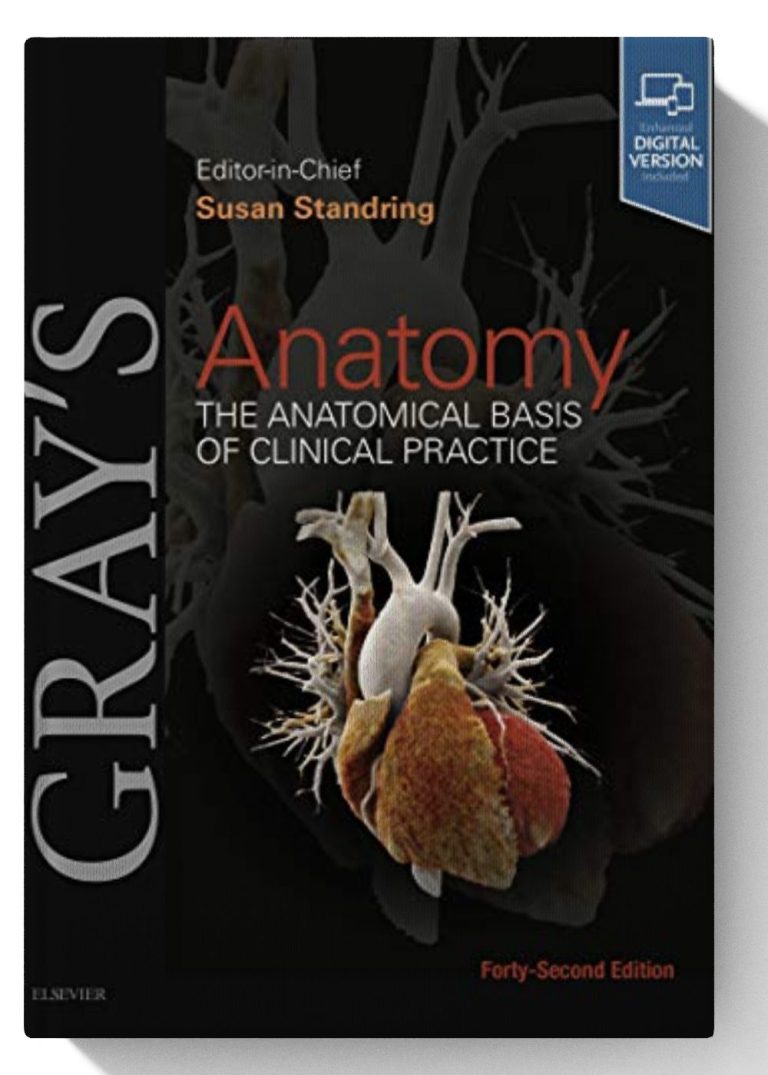 Gray’s Anatomy E-Book: The Anatomical Basis Of Clinical Practice 42nd ...