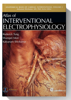 Atlas of Interventional Electrophysiology (Anatomical Basis of Cardiac Interventions)