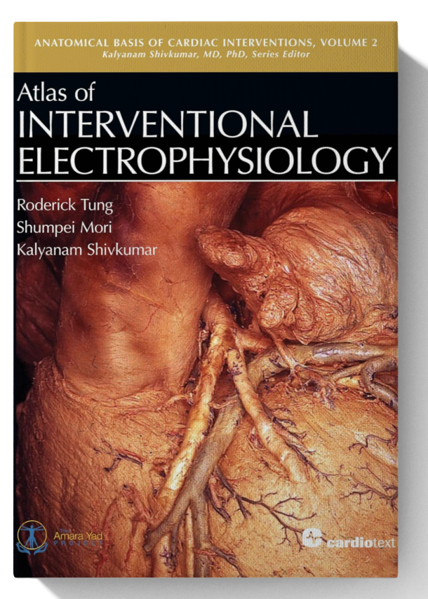 Atlas of Interventional Electrophysiology (Anatomical Basis of Cardiac Interventions)